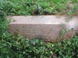 image of grave number 527392
